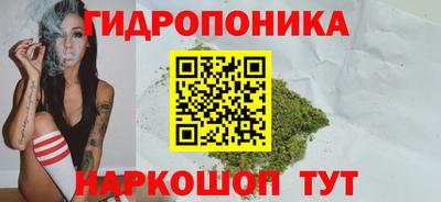 скорость Заволжье