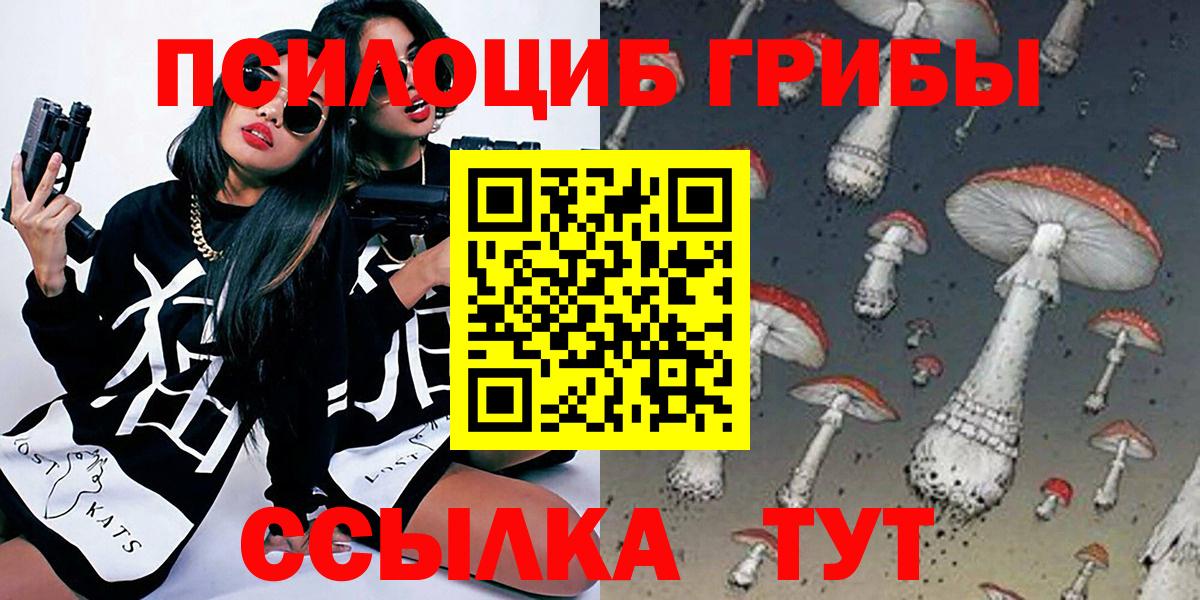 Лыткарино  Псилоцибиновые грибы Cubensis  Вход с VPN 