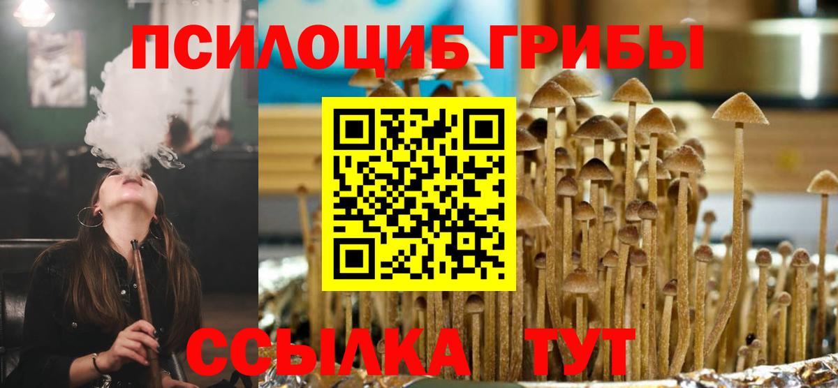 Псилоцибиновые грибы GOLDEN TEACHER Лыткарино